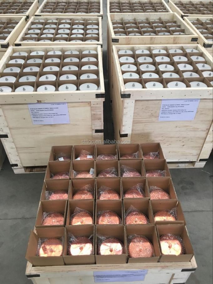 Διπλή δοκιμή PT δίσκων ΚΑΠ φυσαλίδων ABS τιτανίου PVDF PP μετάλλων 7